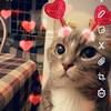 cats2025